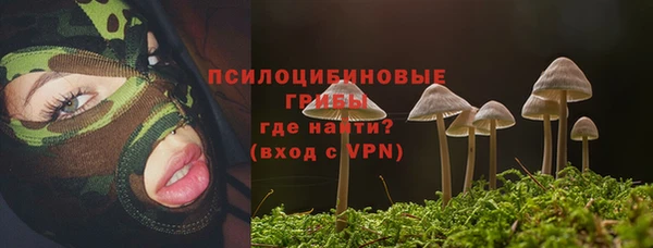 бошки Алзамай