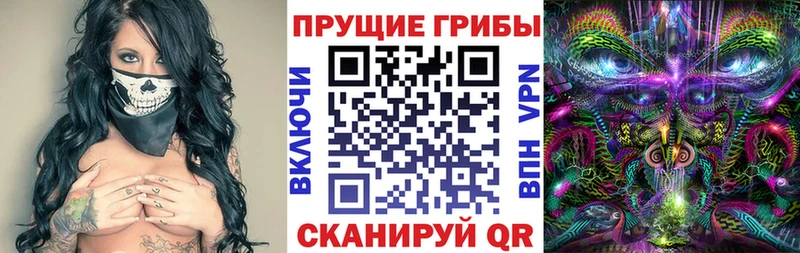 купить закладку  Всеволожск  Псилоцибиновые грибы Magic Shrooms 